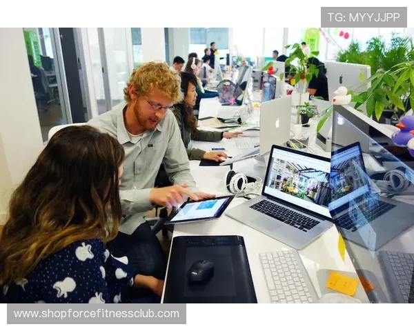 凯发这个平台怎么样：详细分析其安全性和用户体验