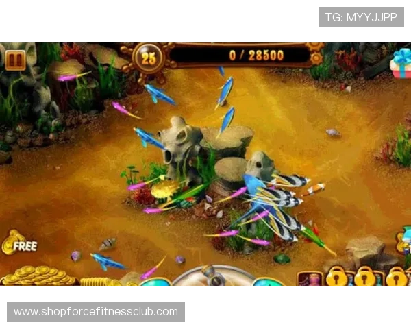 在ag捕鱼王游戏官网体验最流畅的捕鱼游戏操作流程