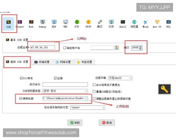 用户必看AG国际厅全站登录常见问题解答，帮助新手快速上手平台