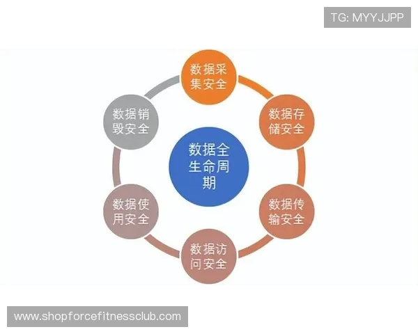 百家网app安全性分析及隐私保护措施确保用户信息安全与顺畅体验