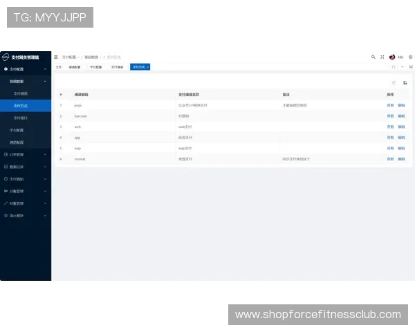 立博真人平台支持多种支付方式方便玩家快速存取款项的实用指南